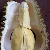 gan-ane-beli-buah-duren-pas-ane-buka-isi-buahnya-kaya-gini-gan