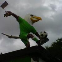 e--l---pss-sleman--season-2015--bring-back-our-glory---j--a