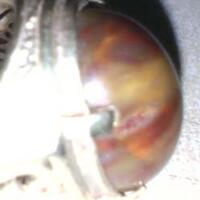 misteri-combong--kayu-batu-besi-yang-berlobang