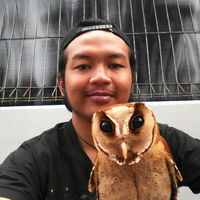 thread-khusus-burung-hantu-owl-kaskus---part-5