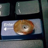 batu-akik-mustika-gemstone-bidang-keilmuan-quotperbatuanquot-dll