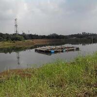 waduk--made-in--jokowi-saat-jadi-gubernur-di-cilangkap-mangkrak-6-bulan