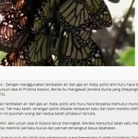 ribuan-kupu-kupu-cantik-hiasi-langit-meksiko