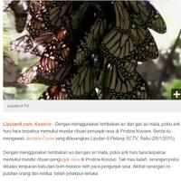 ribuan-kupu-kupu-cantik-hiasi-langit-meksiko