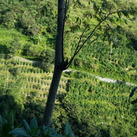 s3rious---suzuki-ertiga-on-kaskus---part-3