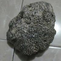 batu-akik-mustika-gemstone-bidang-keilmuan-quotperbatuanquot-dll