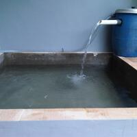 semua-tentang-kolam-ikan