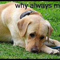 bikerr2-r4-di-jakartahati2-klo-ketemu-mobil-ini-bisa2-ente-dipukulin