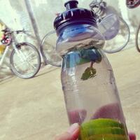 infused-water-bermanfaat-atau-sekedar-trend