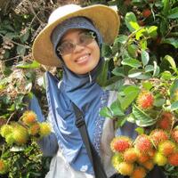 lagi-musim-rabutan-gan-mengenal-buah-rambutan-yuk