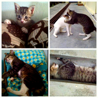 welcome-to-my-noteblog