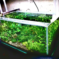 aquascape-for-everyone-learning-and-sharing---part-1