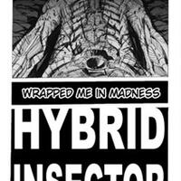 hybrid-insector-unofficial-kamen-rider-manga