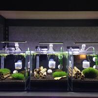 aquascape-for-everyone-learning-and-sharing---part-1