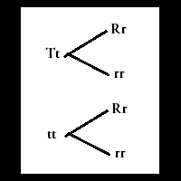 problem-solving---tempat-bertanya-pr-kaskuser-sd-smp-sma---part-3