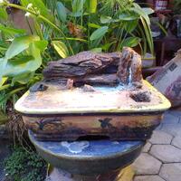 bonsai-kaskus-reborn--forum-sharing--diskusi-seputar-seni-bonsai-indonesia