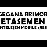 mengenal-lebih-dekat-resintelmob-reserse-intel-mobile-brimob-polri