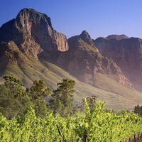 what-makes-you-happy-today