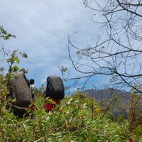 pengalaman-tersesat-di-gunung-slamet-3428mdpl