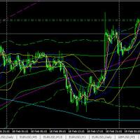 template-bbma-kg-share