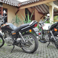 shareserba-serbi-suzuki-thunder-250