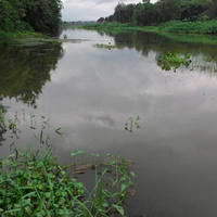 post-image