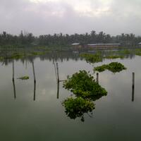post-image