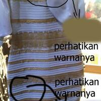 apa-warna-baju-ini