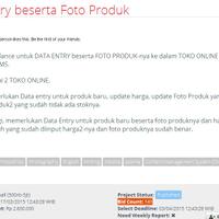 lowongan-freelance-data-entry-beserta-foto-produk