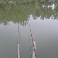 post-image