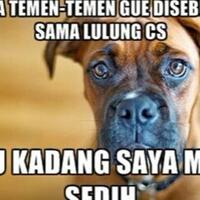 gubernur-dki-dimaki-dprd-muncul-saveanjing-dukung-ahok