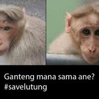 savehajilulung-jadi-perbincangan-lucu-lucuan-di-dunia-maya