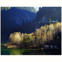 ask-buku-tentang-photography-newbie