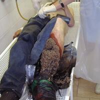 ternyata-cuman-aktingahok-aku-cuma-akting-marah-saat-mediasi-dengan-dprd