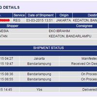 status-jne-delivered-tapi-barang-belum-diantar