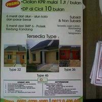 96689733-jual-beli-reggresik-97339658