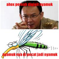 kumpulan-meme-ahok
