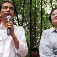 who-the-president-megawati-minta-ke-jokowi-tolak-grasi-terpidana-narkoba