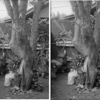 diskusi-kamar-gelap-film-bw---part-2