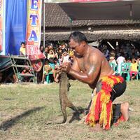 miris-pembantaian-musang-ayam-dan-kelinci-saat-pentas-kesenian-tt