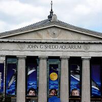 mengunjungi-shedd-aquarium-aquarium-dalam-gedung-terbesar-di-dunia