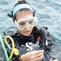 ada-yg-berminat---mantan-puteri-indonesia-siap-ajari-1000-anak-berenang