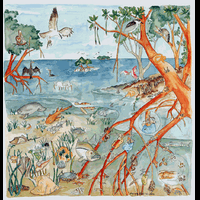rip-asal-agan-tahu-hutan-mangrove-itu-perisai-bumi