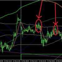 edisi-pamer-profit-dongkus91
