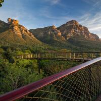 centenary-tree-canopy-walkway-sensasi-jalan-di-atas-hutan