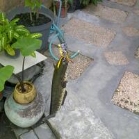 post-image