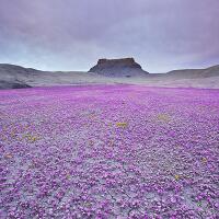 the-badlands-gurun-unik-berwarna-warni