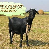 sejarah-baru-takut-15-pns-dki-ini-memilih-mengundurkan-diri