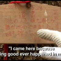 rahasia-angker-aokigahara-hutan-kematian-di-jepang