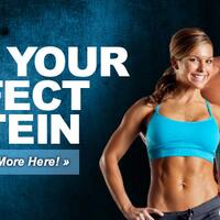 agen-distributor-bulk-protein-shopsuplemen-fitness---protein-powder-profit-besar